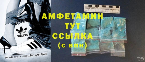 гашик Переславль-Залесский