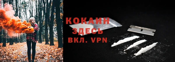мдпв Губаха