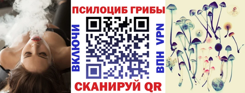 Псилоцибиновые грибы Cubensis наркота Андреаполь